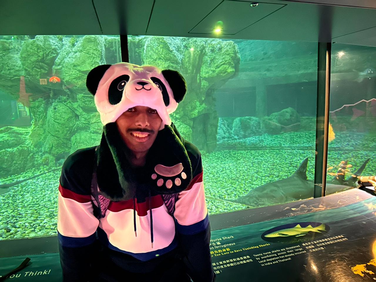 Me in a Panda Hat